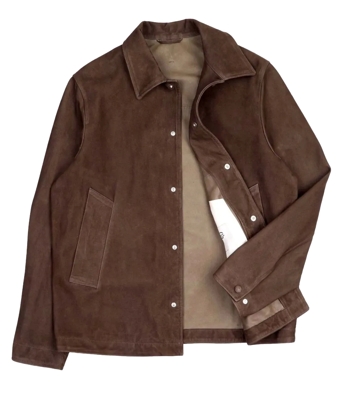 Ted Coach Jacket in Muschino