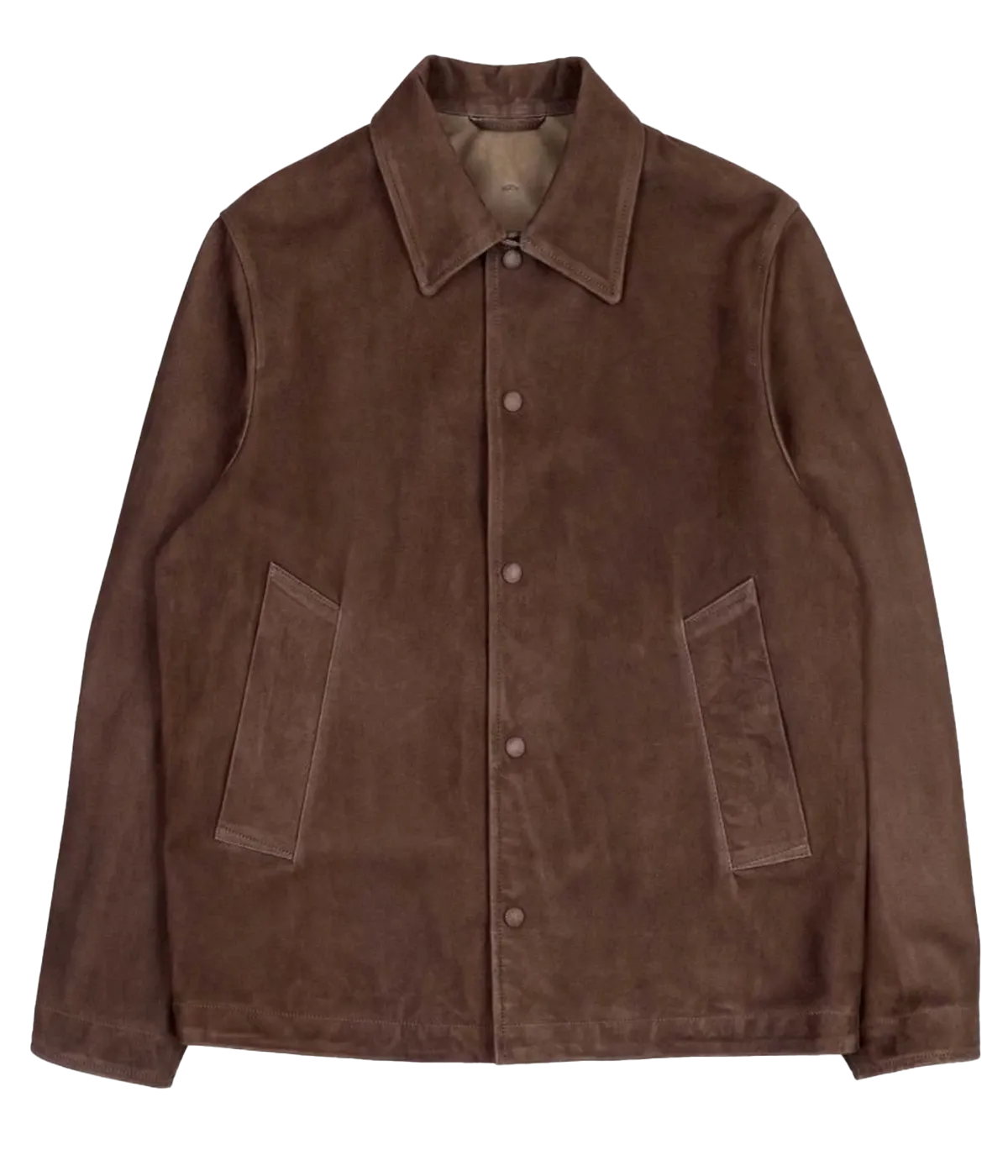 Ted Coach Jacket in Muschino